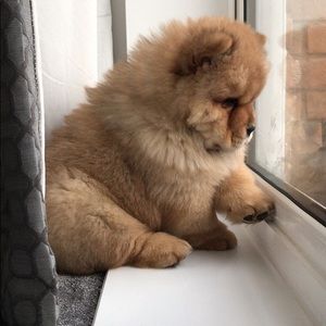 Meet your Posher, Jiwoo